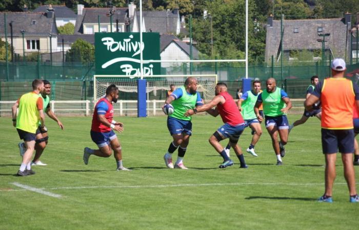 Rugby: This Top 14 club will train in Pontivy