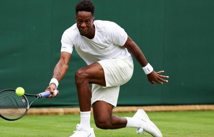 1st round: The French day at Wimbledon: Humbert and Cazaux fight it out, Monfils beats Mannarino, Parry ruins it