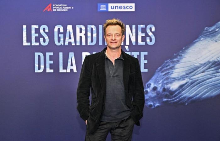 David Hallyday: his clear call to Laura Smet which would surely have pleased Johnny