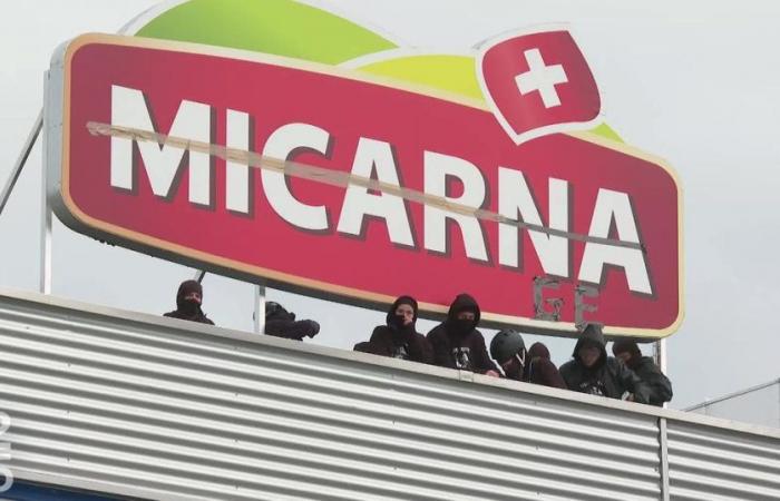 Anti-speciesists who blocked a Micarna slaughterhouse evacuated by police – rts.ch