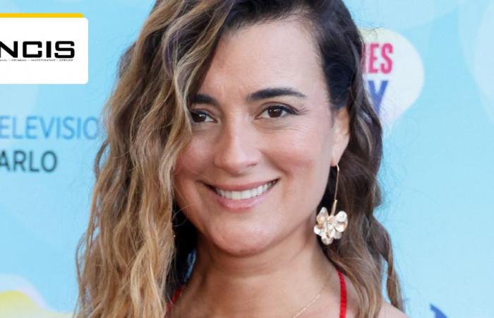 NCIS: “I learned it the hard way” … Cote De Pablo (Ziva) reflects on the unexpected reprimand of Mark Harmon (Gibbs) – News Series