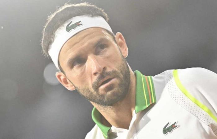 Wimbledon > Dimitrov, after his first round victory: “I’ve never tried alcohol so I don’t know. But I want to make it clear: if I’m aging like fine wine, it’s not a coincidence”