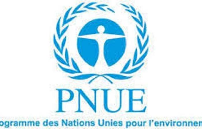 The United Nations Environment Programme (UNEP) is recruiting for this position (July 1, 2024)