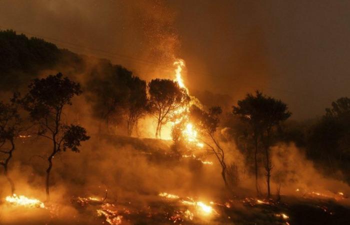 Two forest fires rage in northwestern Greece