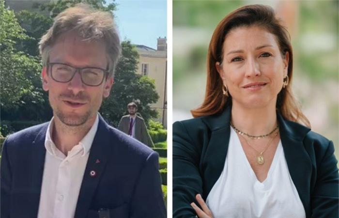 2024 legislative elections in Val-d’Oise: LFI-RN ​​duel in the 9th constituency