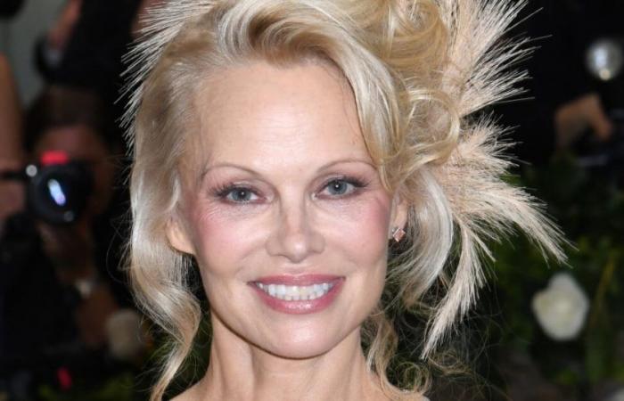 HOUSE OF STARS Pamela Anderson: Her new life in a village between vegetable garden and homemade jams