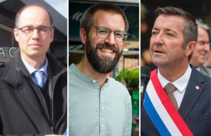 2024 legislative elections in Yvelines: triangular in sight in the 12th, Karl Olive well in the lead