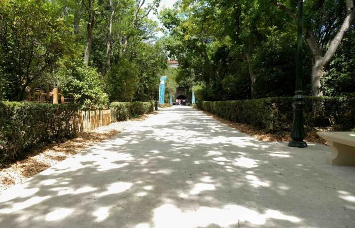 Nîmes: Opening of the Meynier de Salinelles park, an island of greenery just a stone’s throw from the city center! – News