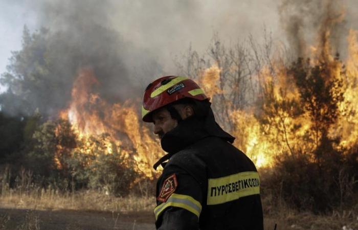 In Greece, a new large forest fire has broken out as the country fears a difficult summer – rts.ch