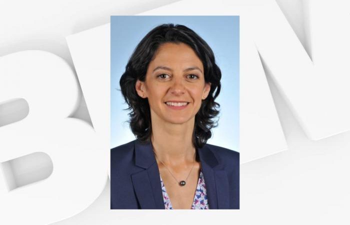 Outgoing MP Claire Colomb-Pitollat ​​withdraws to “block” the RN