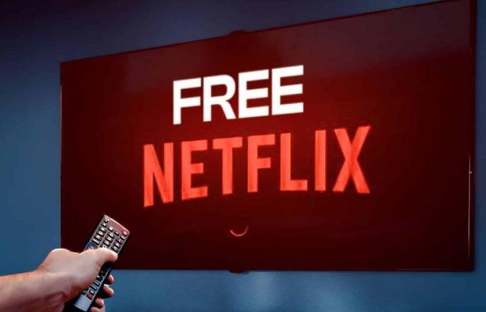 Here’s how to get Netflix for free on your Freebox