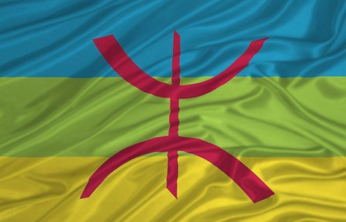 Tamazight finally introduced in Google Translate