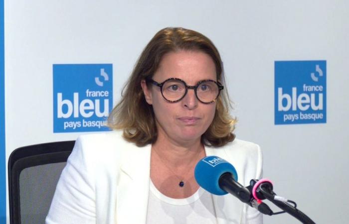Legislative elections 2024: Florence Lasserre withdraws her candidacy in the 5th constituency of Pyrénées-Atlantiques