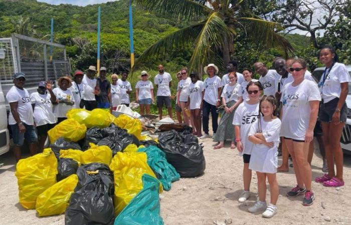 Cleaning operation at Anse Marguerite au Moule