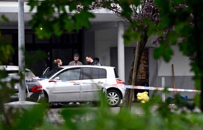 Shooting during a wedding in Thionville, at least one dead and 5 injured