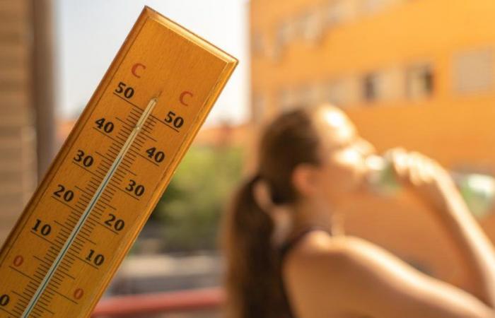 How to anticipate the risk of heatwave for athletes during the Olympic Games