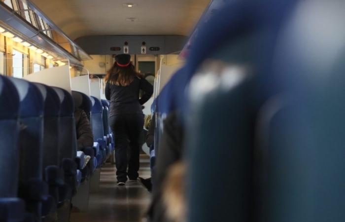Nanterre: Prison terminus for SNCF passenger who locked himself in train toilet