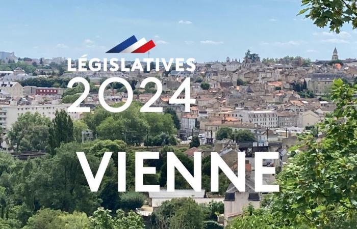 2024 LEGISLATIVE ELECTIONS. Who are the candidates and parties in the second round in Vienne?