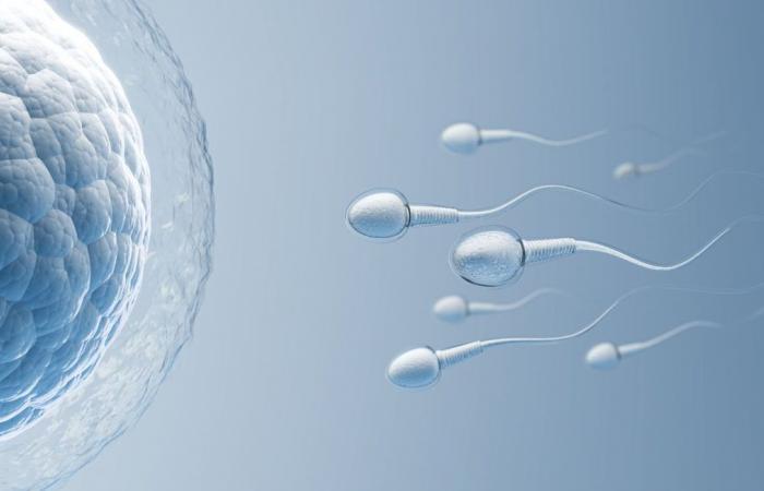 The number of sperm donors in France is falling for the first time since 2021