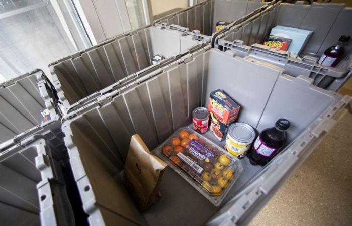 Food assistance services | Demand is rising among students
