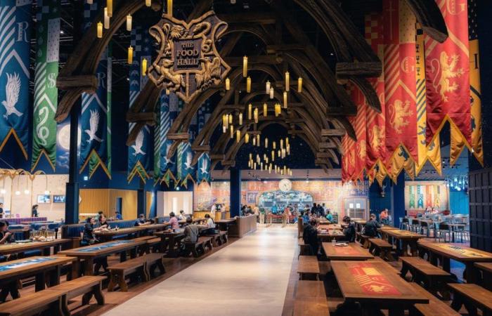 Back to Hogwarts: a huge global Harry Potter event will invade Lyon this summer