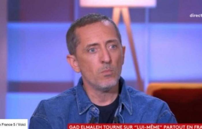 “Contrary to what Léa Salamé thinks…”: Gad Elmaleh tackles the journalist in C à vous (ZAPTV)