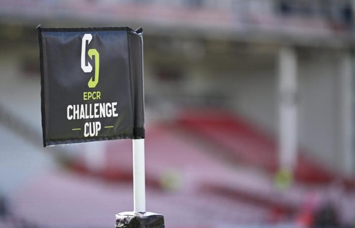 Montpellier spared, tough for Bayonne: the Challenge Cup groups for the 2024-2025 season