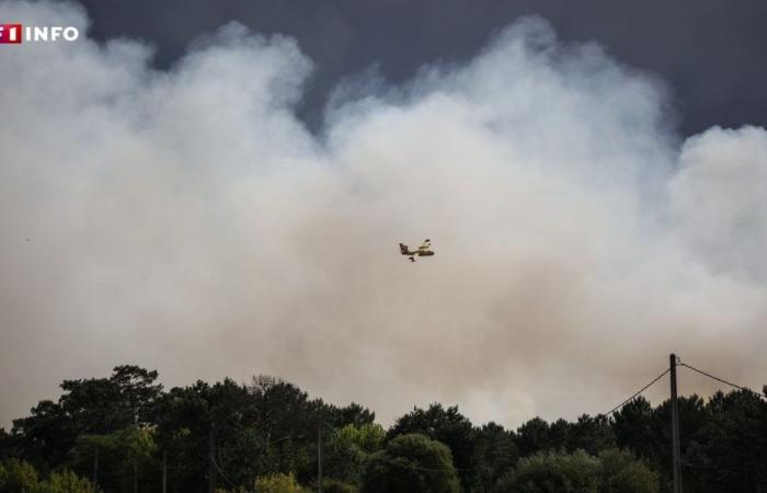 Fire risks: Bouches-du-Rhône department placed on orange alert