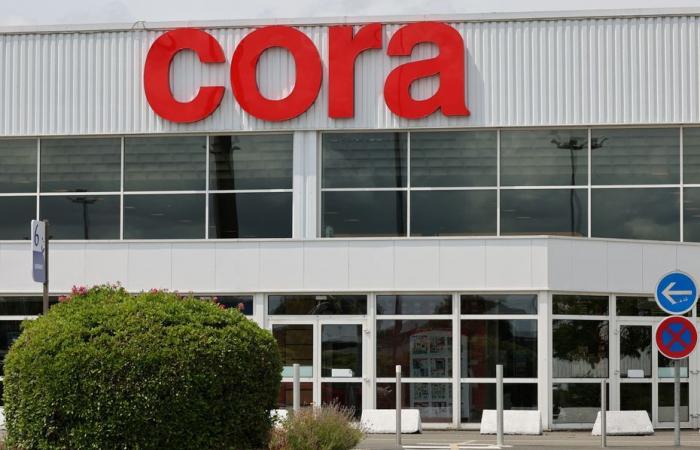 Carrefour Group Buys Cora and Match Stores and Promises Price Cuts