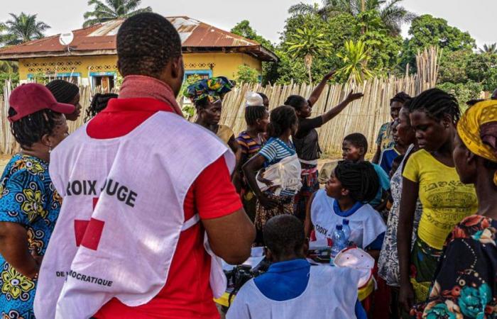 About the International Red Cross and Red Crescent Movement