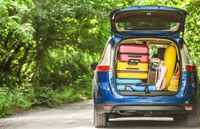 Going on holiday: essential tips to avoid stress on the road or in the air