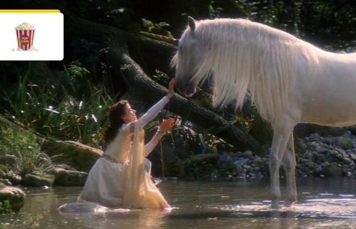 It’s one of the 10 heroic fantasy films to see in your life: 39 years after its release, it remains a pinnacle of the genre – Cinema News