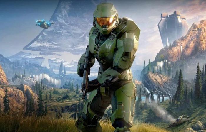 Halo 7 comes out of long silence to share good news