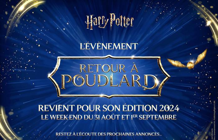 Back to Hogwarts: a huge global Harry Potter event will invade Lyon this summer