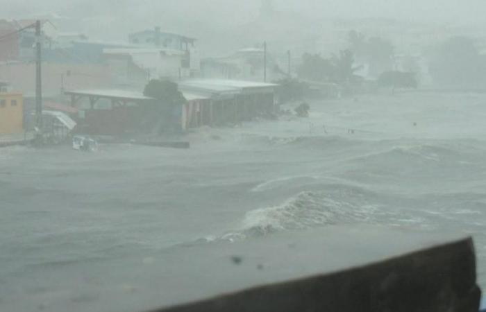 Hurricane Beryl, “potentially catastrophic”, threatens the Caribbean – rts.ch