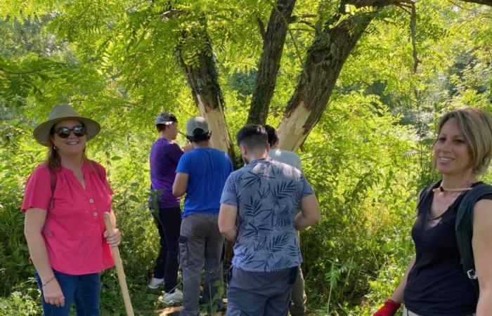 In Blois, young people highlight natural spaces