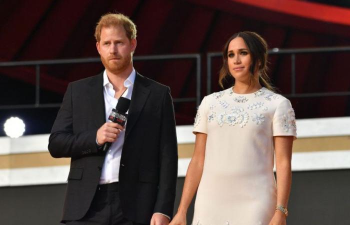 This honor granted to Meghan Markle’s husband is not going down well, “I am dismayed”