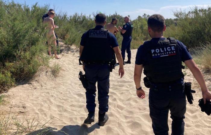 Cap d’Agde: naturists took advantage of the forbidden dunes of the Bagnas nature reserve, nine fines