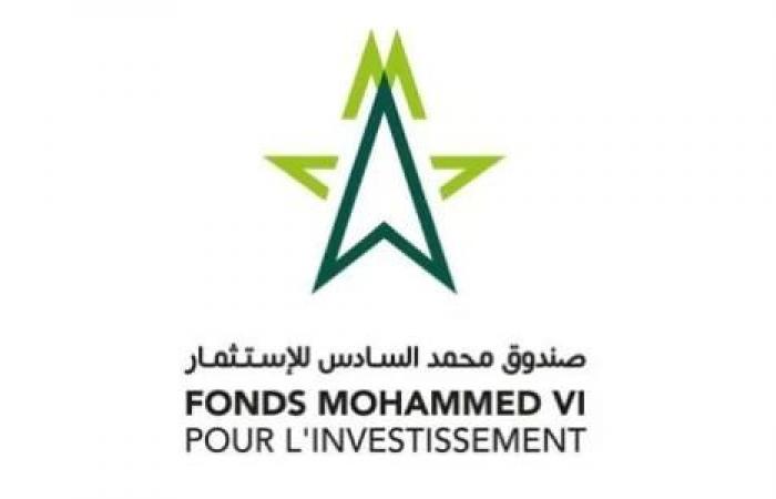 Startup fund management: strong participation of national and international management companies in the call for expressions of interest launched by the FM6I