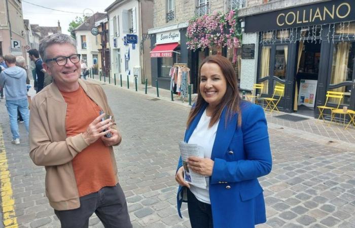 Legislative elections in Essonne: Naïma Sifer, Horizons candidate in the 2nd constituency, finally withdraws