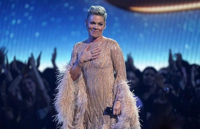 Pink cancels concert in Bern, the only date in Switzerland