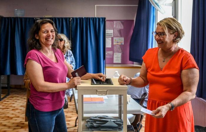 2024 Legislative Elections in the Pyrénées-Orientales: in the first constituency, a disappointed new candidate calls for a vote for the New Popular Front
