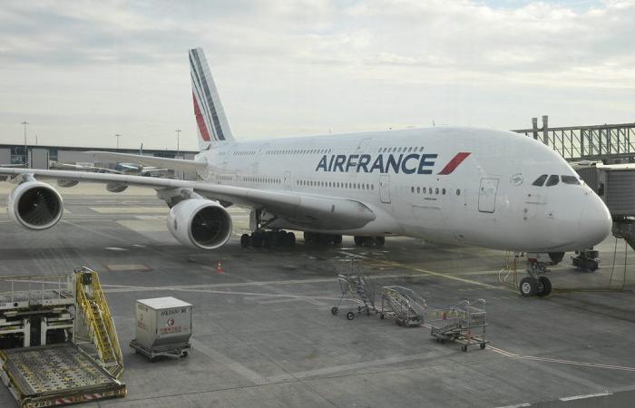 At Orly, passengers on a Paris-Bamako flight prevent the expulsion of a Malian under OQTF
