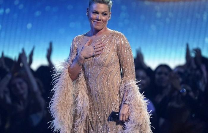 Pink cancels concert in Bern, the only date in Switzerland