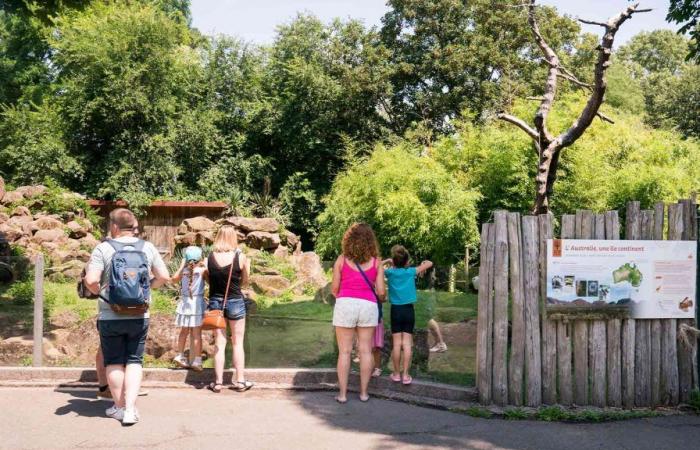 Summer season 2024 at the Zoological and Botanical Park | m2A le mag