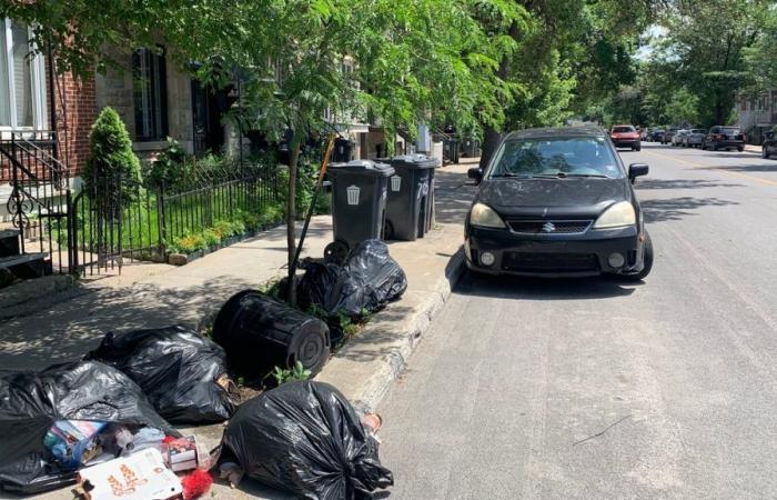 Mercier-Hochelaga-Maisonneuve: petition against the spacing of garbage collection