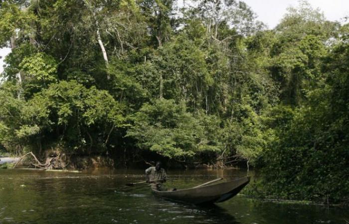 In Ivory Coast, an industrial accident raises fears of large-scale river pollution by cyanide