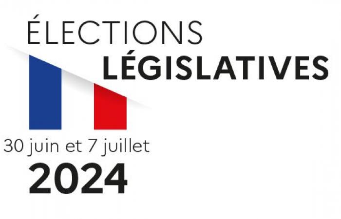 Everything you need to know about the 2024 legislative elections – 2024 press releases – Press area – News