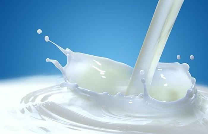 Soy, oat, almond milk… WHO warns against plant-based drinks that replace dairy products