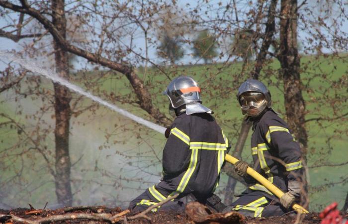 A large vegetation fire at the gates of Sigean in Aude: 90 firefighters on site